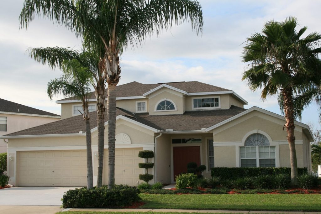 modern home with palm trees out front