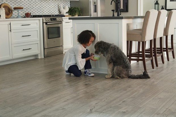 Pet friendly floor Pet friendly floor