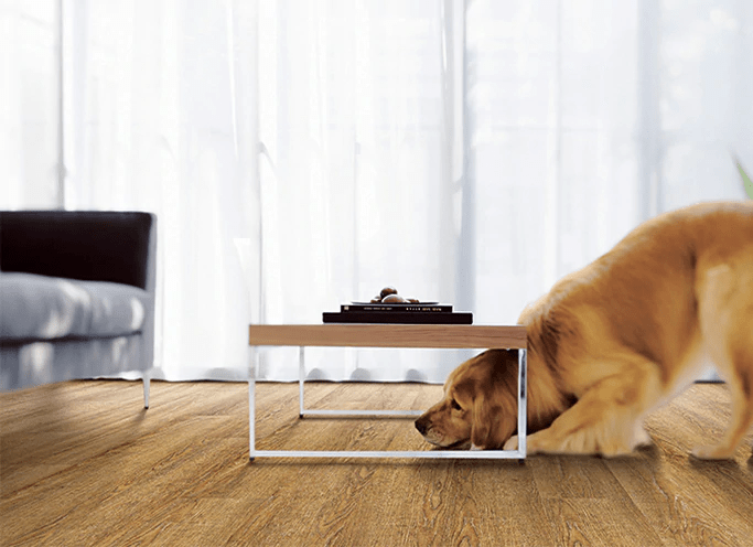 dog on COREtec vinyl flooring in living room