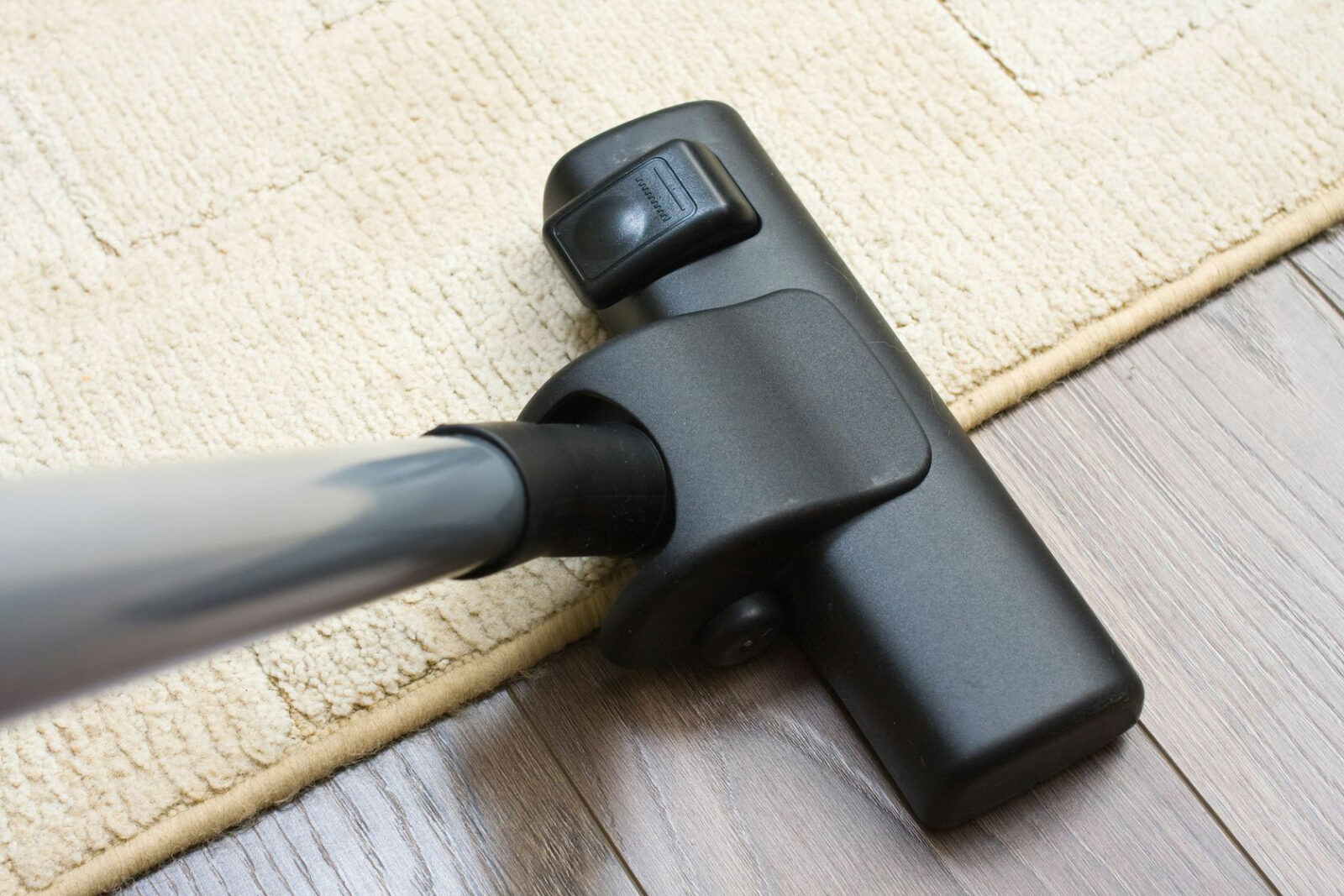 Taking Care of Your Area Rugs in South Florida | Dolphin Carpet