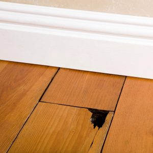Damaged floor maintainence