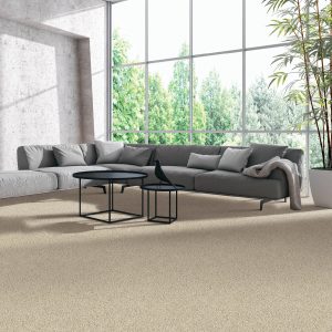 Mohawk SmartStrand Silk Natural Splendor II carpet