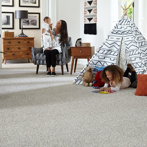 airo carpet | Dolphin Carpet & Tile