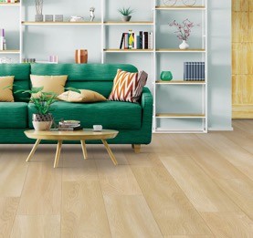 Living room flooring | Dolphin Carpet & Tile