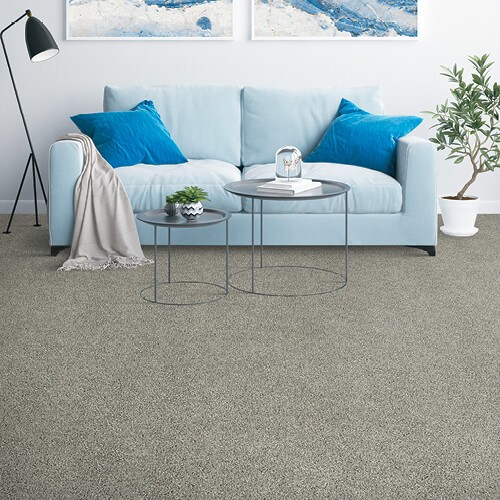 Placid Reflection_500x500 placid reflection carpet | Dolphin Carpet & Tile