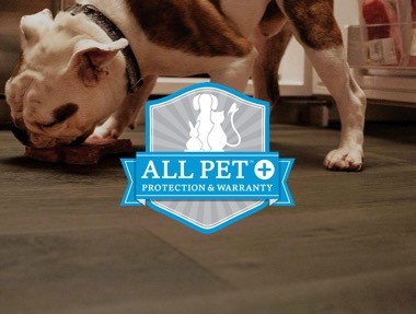 all-pet Revwood Plus | Dolphin Carpet & Tile