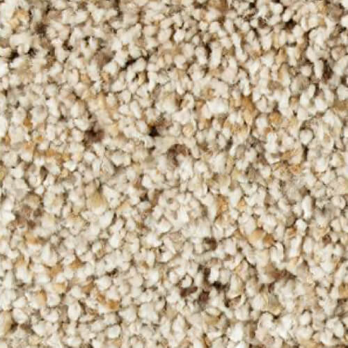 beige beige carpet | Dolphin Carpet & Tile