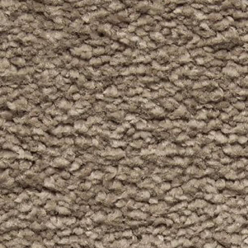 brown carpet | Dolphin Carpet & Tile