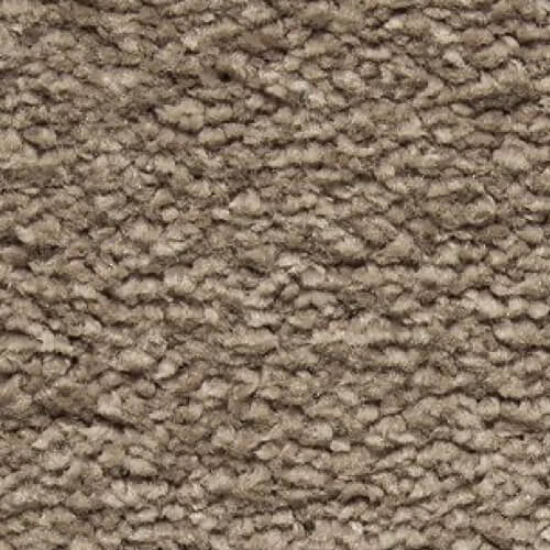 brown brown carpet | Dolphin Carpet & Tile