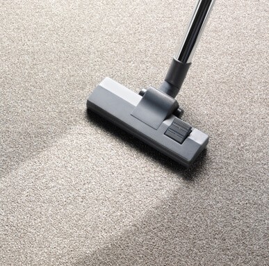 carpet maintenance | Dolphin Carpet & Tile