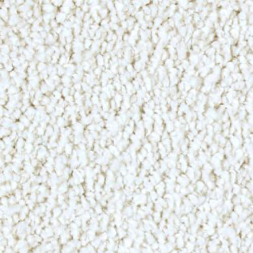 white carpet | Dolphin Carpet & Tile
