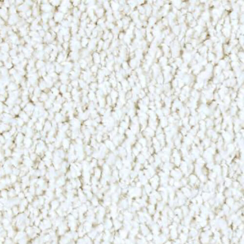 white white carpet | Dolphin Carpet & Tile