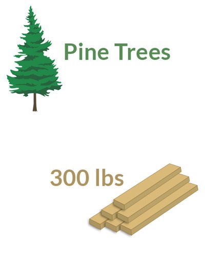 Growth_Rate_Pine Growth_Rate_Pine | Dolphin Carpet & Tile