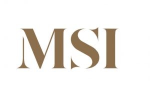 MSI MSI | Dolphin Carpet & Tile