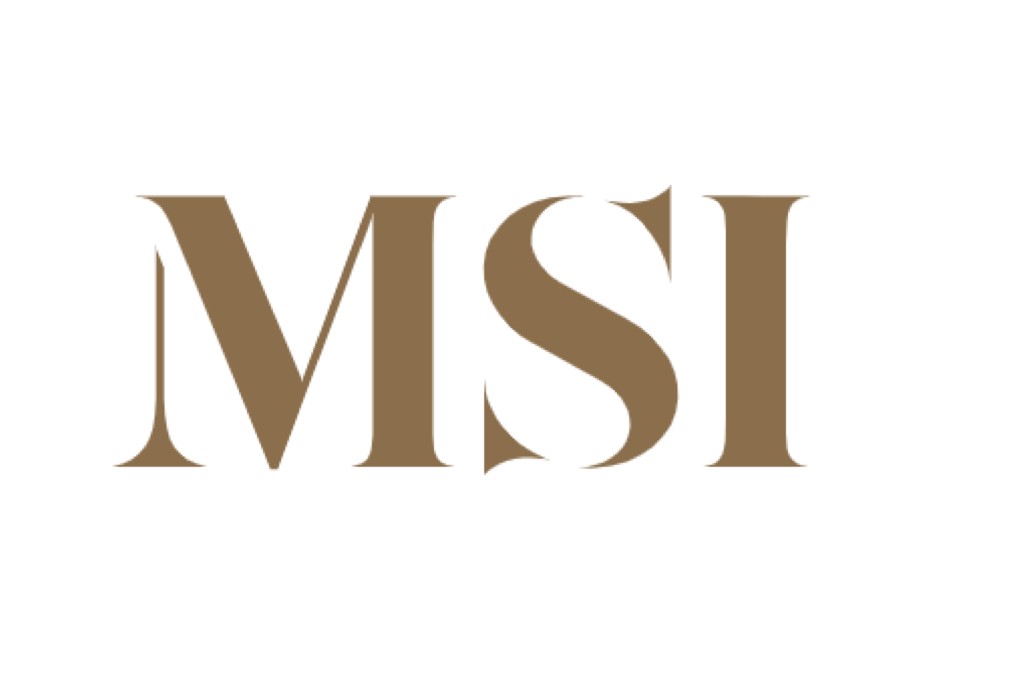 MSI MSI | Dolphin Carpet & Tile