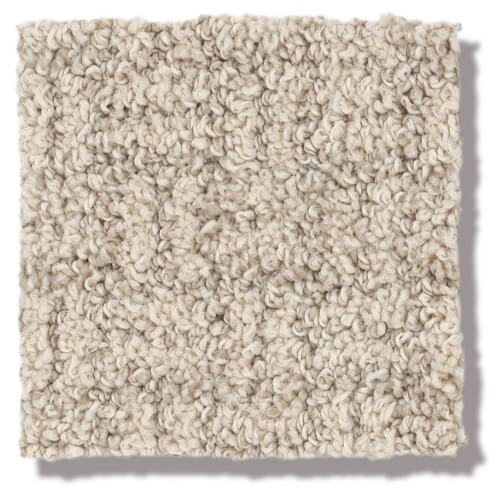 beige-1 Beige Carpet | Dolphin Carpet & Tile