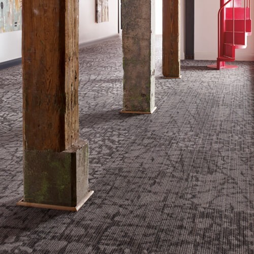 philaelphia-commercial-carpet Commercial Flooring | Dolphin Carpet & Tile