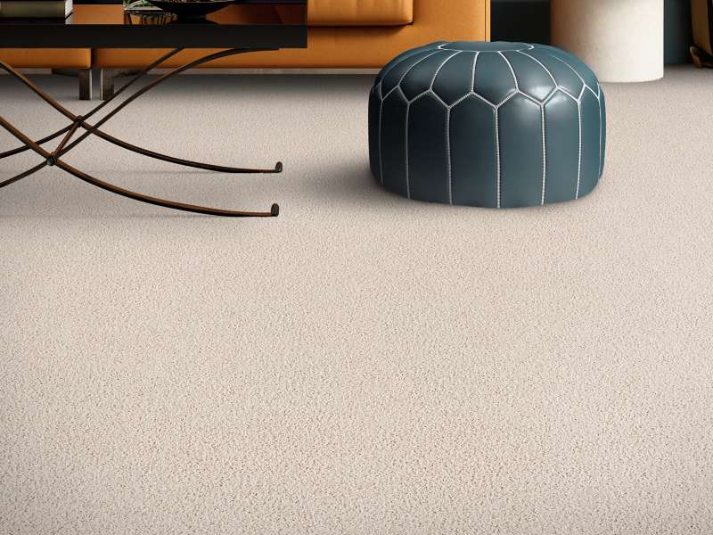 Casual carpet | Dolphin Carpet & Tile