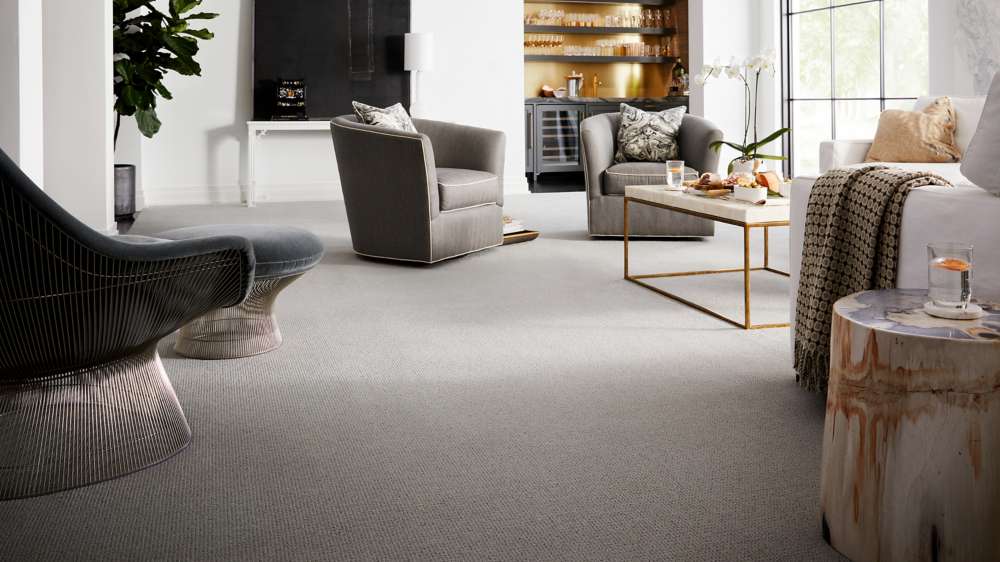 sc-Karastan_SittingRm_GR-0114-1 karastan nylon | Dolphin Carpet & Tile