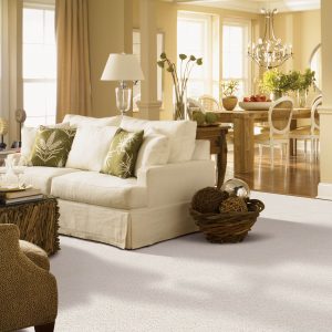 Living room carpet | Dolphin Carpet & Tile