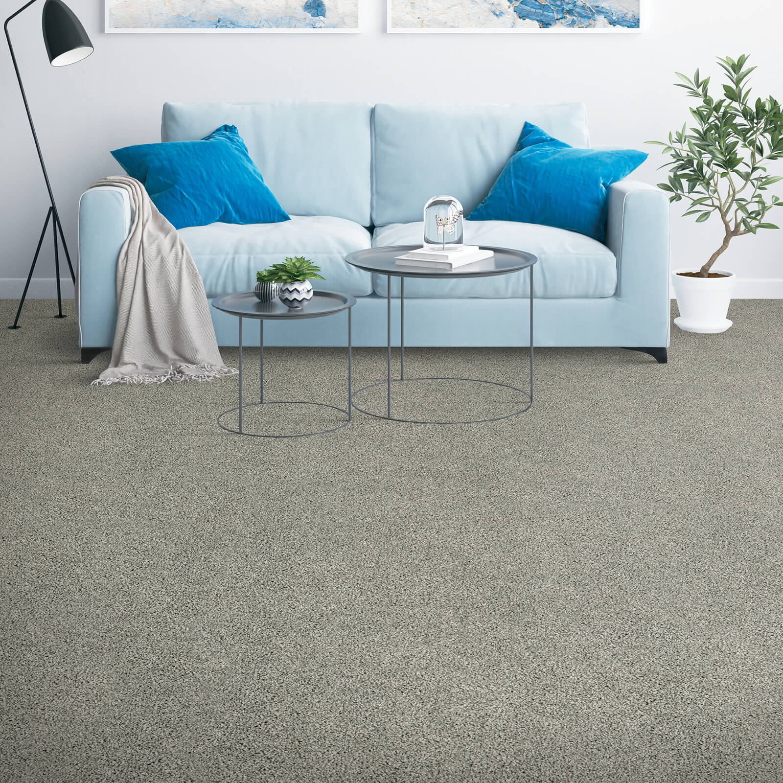 Carpet Flooring | Dolphin Carpet & Tile