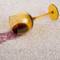 Stainguide | Dolphin Carpet & Tile