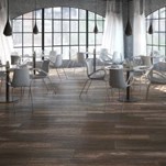 hardwood alternatives dolphin