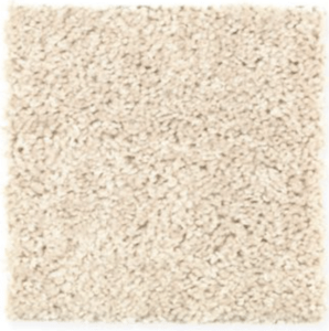Coral Springs carpet flooring
