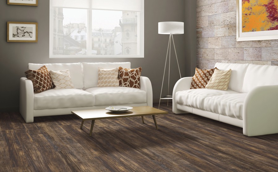 coretec | Dolphin Carpet & Tile