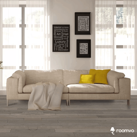 roomvo | Dolphin Carpet & Tile