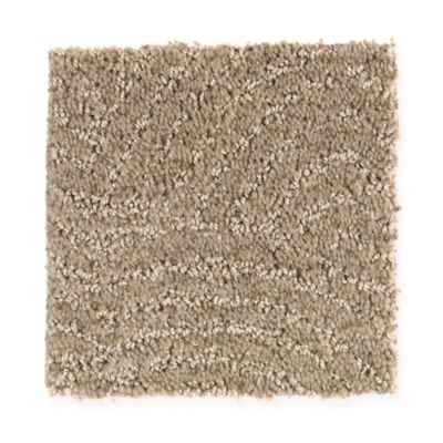 Triexta Carpet Swatch | Dolphin Carpet & Tile