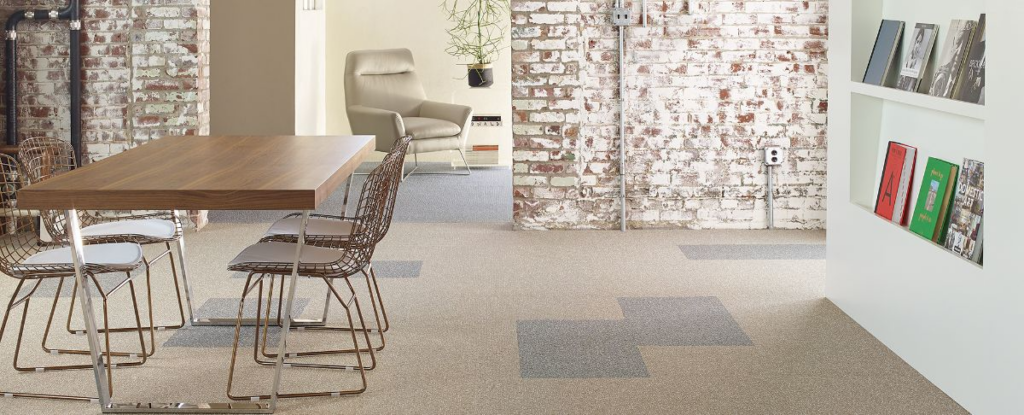 Carpet Dolphin | Dolphin Carpet & Tile