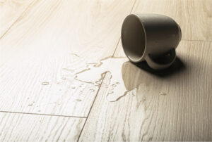 Waterproof Flooring | Dolphin Carpet & Tile