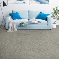 Tan carpet from Placid Reflection collection in living room