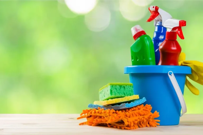 Cleaning essentials | Dolphin Carpet & Tile
