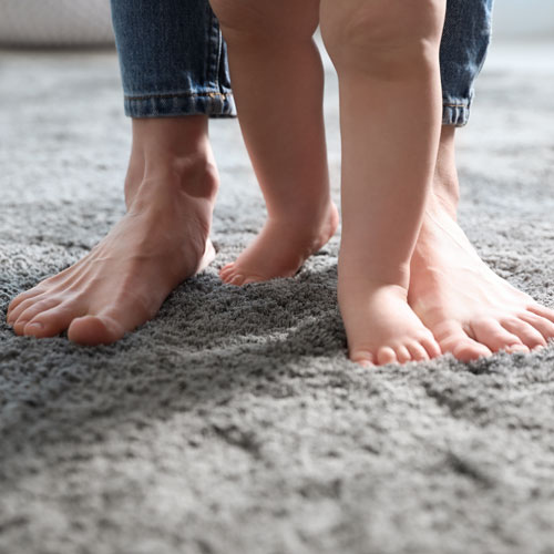 carpet for high traffic areas | Dolphin Carpet