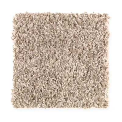Polyester-Carpet-Swatch
