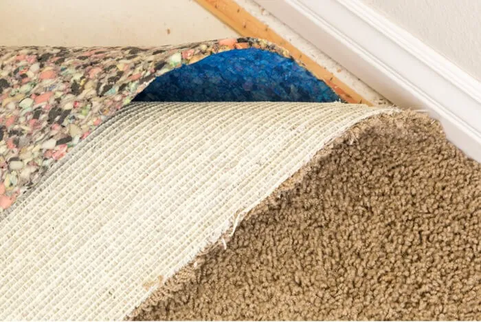 carpet-backing