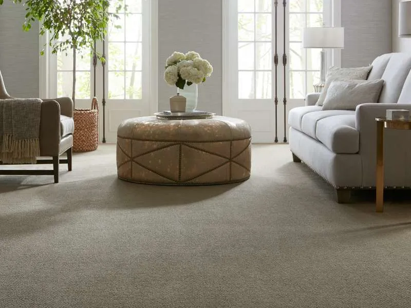 Living room flooring | Dolphin Carpet & Tile