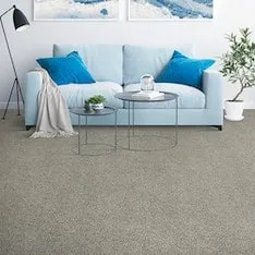 tan-carpet-placid-reflection-in-living-room