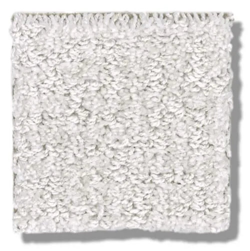 white-carpet-1 white-carpet-1