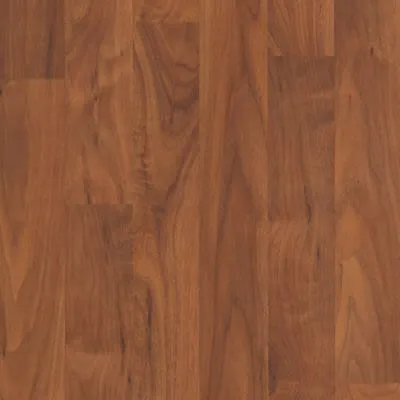 355491 Flooring | Dolphin Carpet & Tile