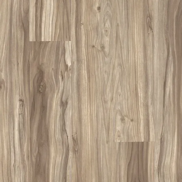 67759_260 Flooring | Dolphin Carpet & Tile