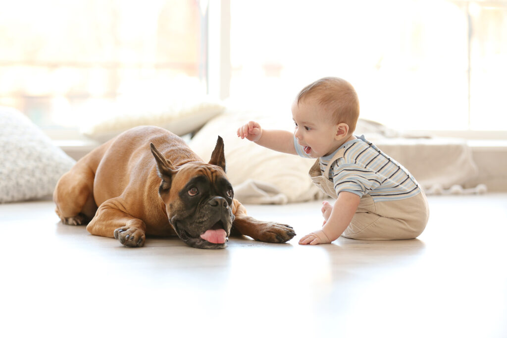 Laminate Flooring for Pets: Durability and Scratch Resistance
