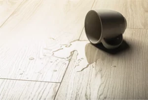 Hardwood Spill | Dolphin Carpet & Tile
