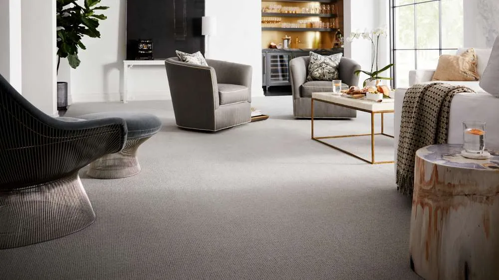 Living Room flooring | Dolphin Carpet & Tile