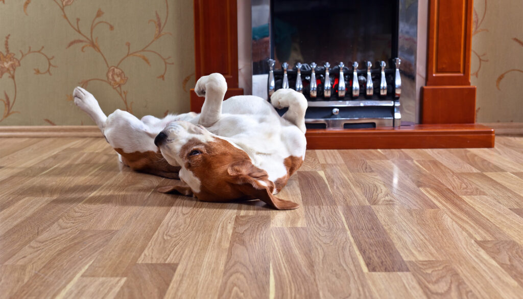 best waterproof laminate flooring for pets Fort Lauderdale, FL