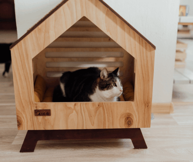 best laminate flooring for pets Fort Lauderdale, FL