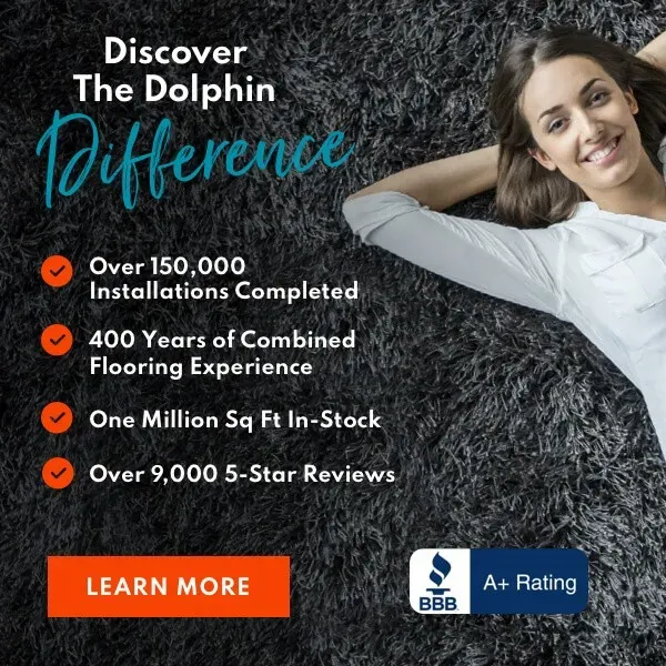 2026-dolphin-difference-mobile-dc