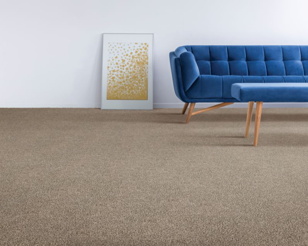 2026 Luxury Carpet Ideas Coral Springs, FL